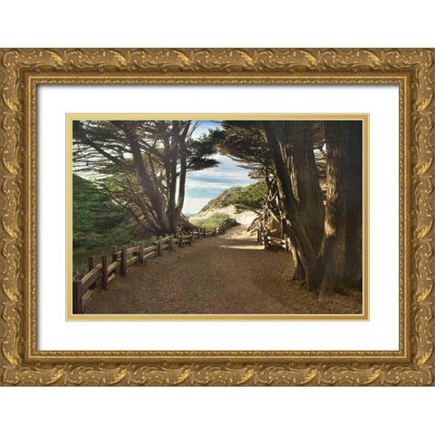 Big Sur Gold Ornate Wood Framed Art Print with Double Matting by Cahill, Michael