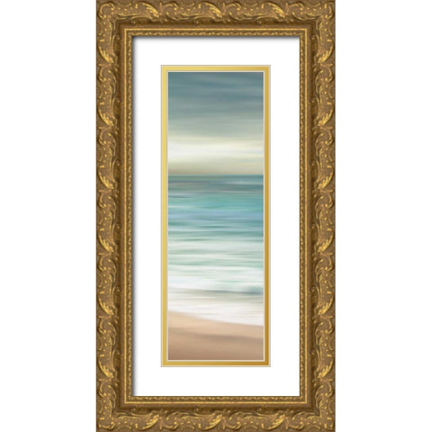 Ocean Calm III Gold Ornate Wood Framed Art Print with Double Matting by Venter, Tandi
