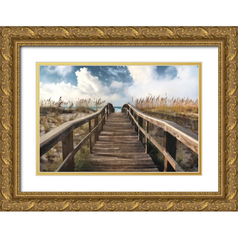 Path To Paradise Gold Ornate Wood Framed Art Print with Double Matting by Cahill, Michael