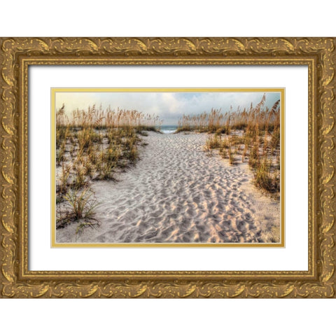 Path to the Beach Gold Ornate Wood Framed Art Print with Double Matting by Cahill, Michael