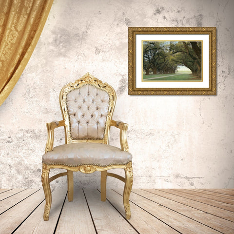 Alley of the Oaks Gold Ornate Wood Framed Art Print with Double Matting by Guion, William