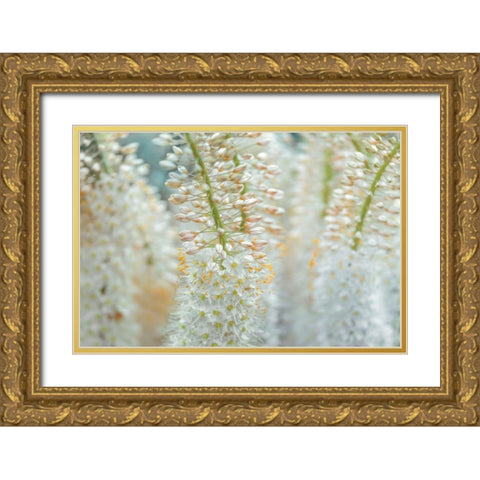 Humbled Gold Ornate Wood Framed Art Print with Double Matting by Frank, Assaf