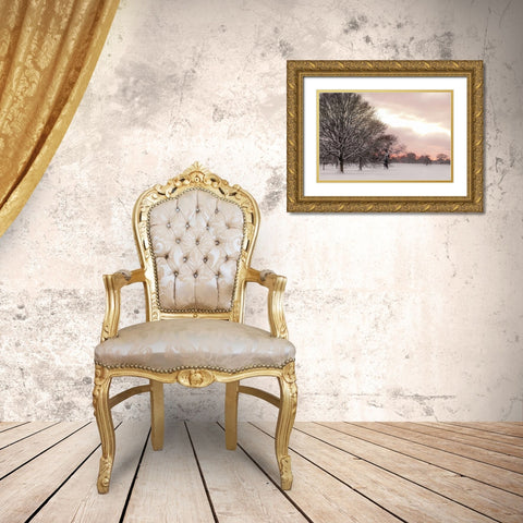Rosy Sunset Gold Ornate Wood Framed Art Print with Double Matting by Frank, Assaf