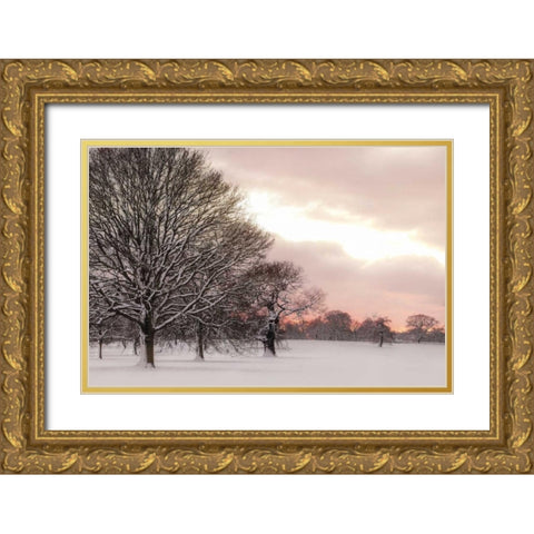 Rosy Sunset Gold Ornate Wood Framed Art Print with Double Matting by Frank, Assaf