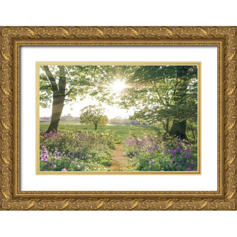 Something Beautiful Gold Ornate Wood Framed Art Print with Double Matting by Frank, Assaf