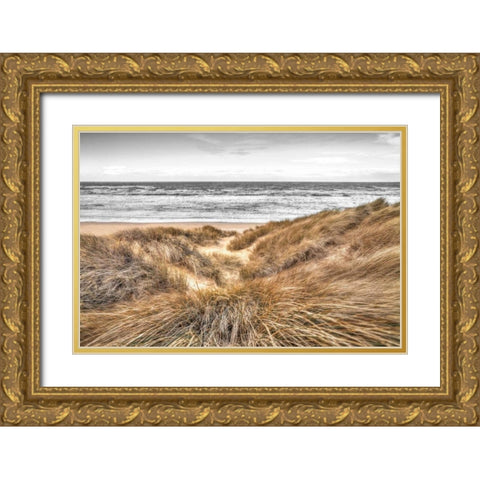 Beach Dunes Gold Ornate Wood Framed Art Print with Double Matting by Frank, Assaf