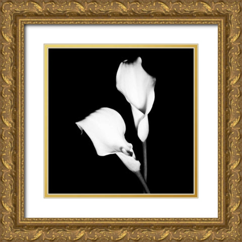 Calla Portrait I Gold Ornate Wood Framed Art Print with Double Matting by Maihara, Jeff