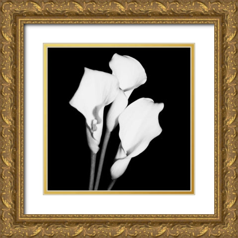 Calla Portrait II Gold Ornate Wood Framed Art Print with Double Matting by Maihara, Jeff