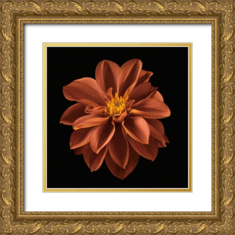 Four Keeps I  Gold Ornate Wood Framed Art Print with Double Matting by Frank, Assaf