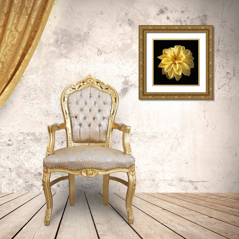 Four Keeps IV Gold Ornate Wood Framed Art Print with Double Matting by Frank, Assaf