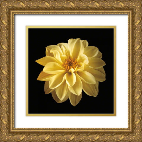 Four Keeps IV Gold Ornate Wood Framed Art Print with Double Matting by Frank, Assaf