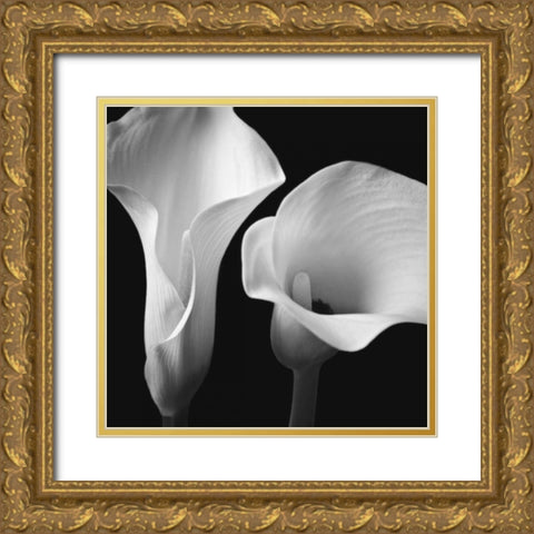 Softness II Gold Ornate Wood Framed Art Print with Double Matting by Frank, Assaf