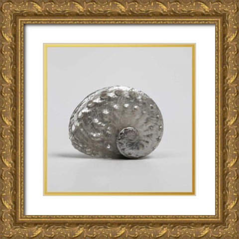 Beachside Treasure IV Gold Ornate Wood Framed Art Print with Double Matting by Frank, Assaf
