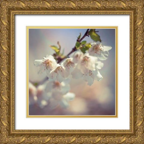 Soft bloom II Gold Ornate Wood Framed Art Print with Double Matting by Frank, Assaf