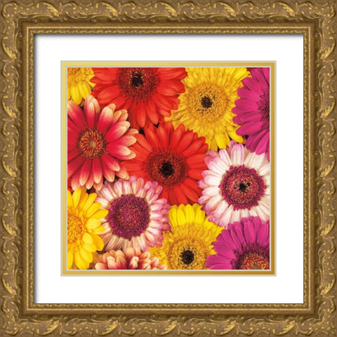 Splash of Color II Gold Ornate Wood Framed Art Print with Double Matting by Frank, Assaf