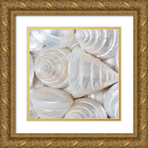 Opalesque II Gold Ornate Wood Framed Art Print with Double Matting by Frank, Assaf