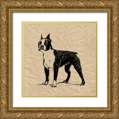 Boston Terrier Gold Ornate Wood Framed Art Print with Double Matting by Berg, Sabine
