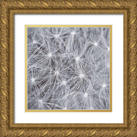 Natural Designs I Gold Ornate Wood Framed Art Print with Double Matting by Frank, Assaf