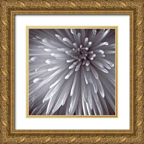 Natural Designs II Gold Ornate Wood Framed Art Print with Double Matting by Frank, Assaf