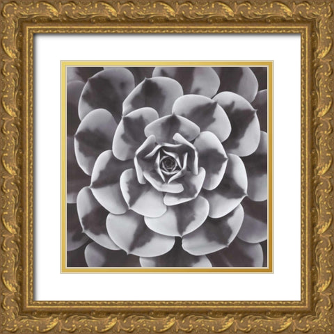 Natural Designs III Gold Ornate Wood Framed Art Print with Double Matting by Frank, Assaf