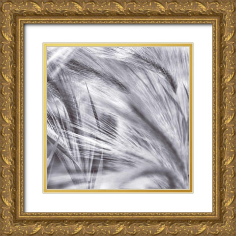 Natural Designs IV Gold Ornate Wood Framed Art Print with Double Matting by Frank, Assaf