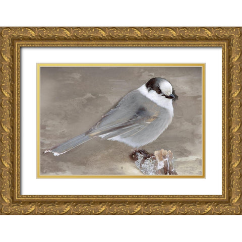 Grey Jay II Gold Ornate Wood Framed Art Print with Double Matting by Fontaine, Stephane