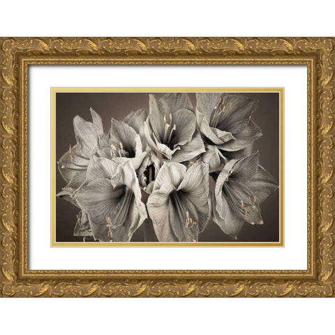 Grand Floral Gold Ornate Wood Framed Art Print with Double Matting by Frank, Assaf