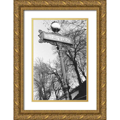 Metro Gold Ornate Wood Framed Art Print with Double Matting by Davidson, Clay