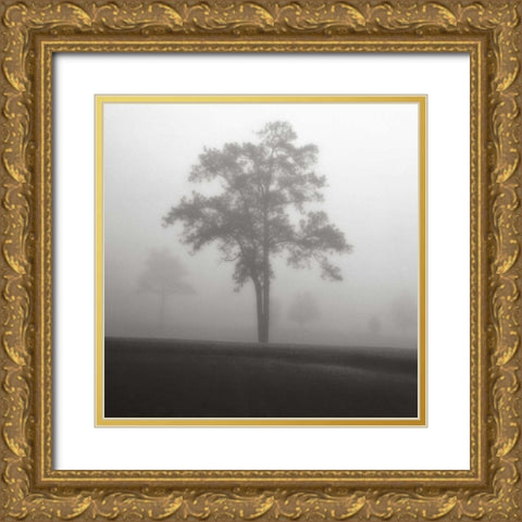 Fog Tree Study I Gold Ornate Wood Framed Art Print with Double Matting by Cook, Jamie