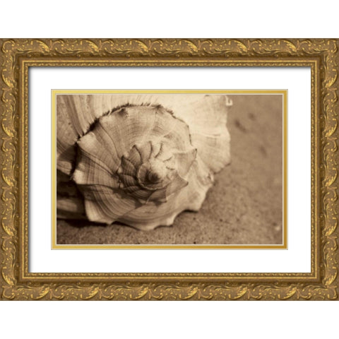 Conch Gold Ornate Wood Framed Art Print with Double Matting by Schick, Cyndi