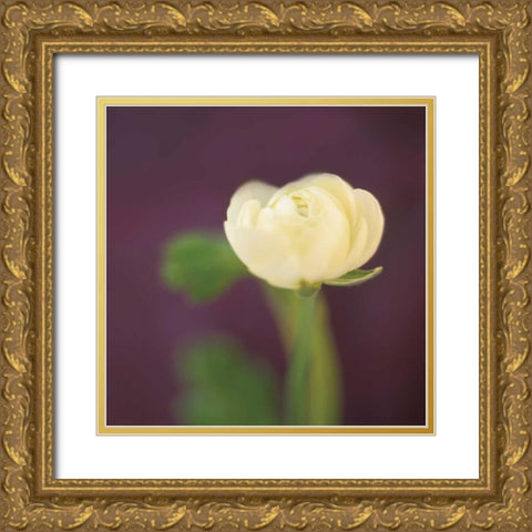 Ivory on Aubergine Gold Ornate Wood Framed Art Print with Double Matting by Butler, Jane-Ann