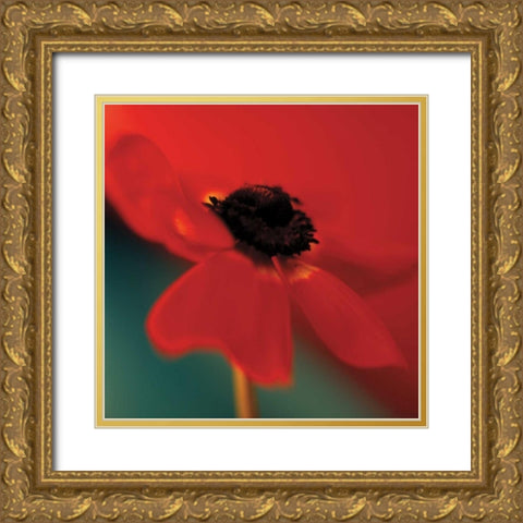 Red on Turquoise Gold Ornate Wood Framed Art Print with Double Matting by Butler, Jane-Ann