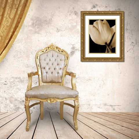 Radiance I Gold Ornate Wood Framed Art Print with Double Matting by Ryan, Cinzia