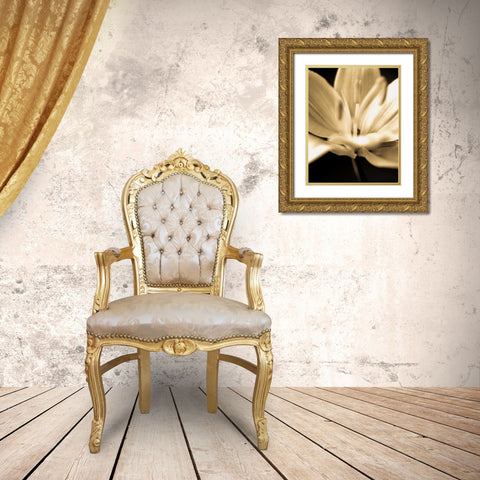 Radiance III Gold Ornate Wood Framed Art Print with Double Matting by Ryan, Cinzia