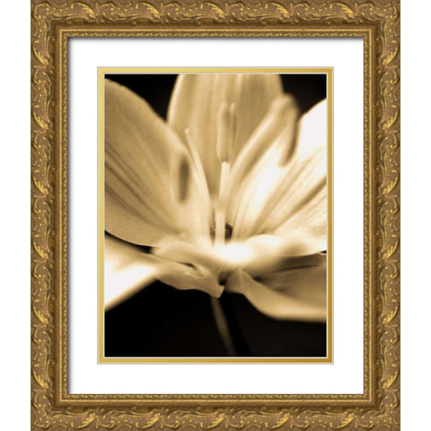 Radiance III Gold Ornate Wood Framed Art Print with Double Matting by Ryan, Cinzia