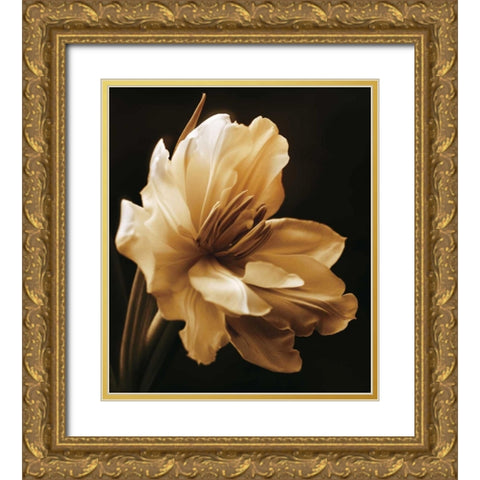 Timeless Grace I Gold Ornate Wood Framed Art Print with Double Matting by Britt, Charles