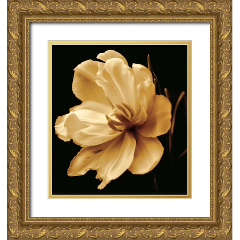 Timeless Grace III Gold Ornate Wood Framed Art Print with Double Matting by Britt, Charles