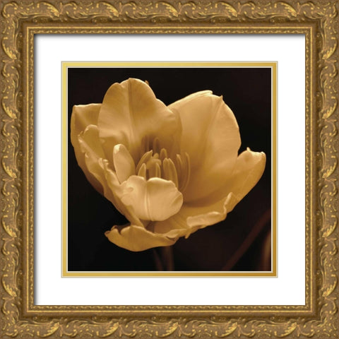 Timeless Grace IV Gold Ornate Wood Framed Art Print with Double Matting by Britt, Charles