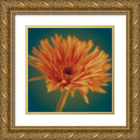 Chrysanthemum on Turquoise Gold Ornate Wood Framed Art Print with Double Matting by Butler, Jane-Ann