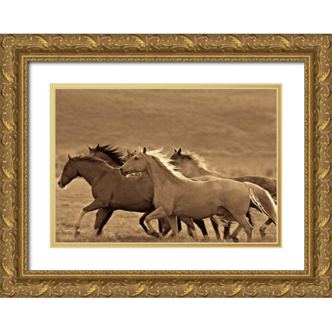 Like the Wind II Gold Ornate Wood Framed Art Print with Double Matting by Caro, Wendy