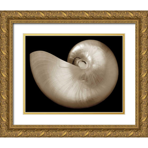 Ocean Keepsake I Gold Ornate Wood Framed Art Print with Double Matting by Britt, Charles