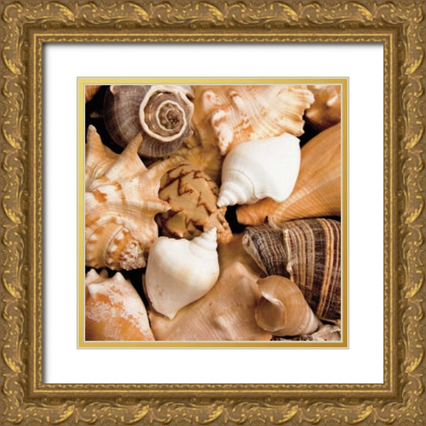 Beachside Shells Gold Ornate Wood Framed Art Print with Double Matting by Maihara/Watt, Jeff/Boyce
