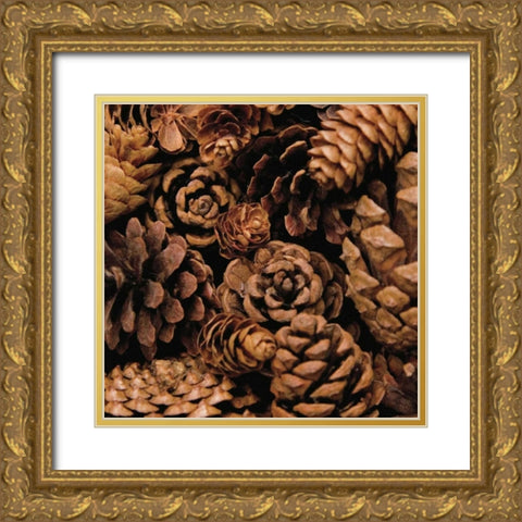 Cone Harvest Gold Ornate Wood Framed Art Print with Double Matting by Maihara/Watt, Jeff/Boyce