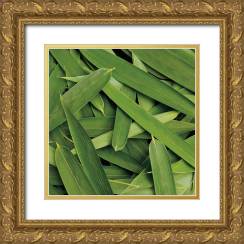 Scattered Leaves Gold Ornate Wood Framed Art Print with Double Matting by Maihara/Watt, Jeff/Boyce