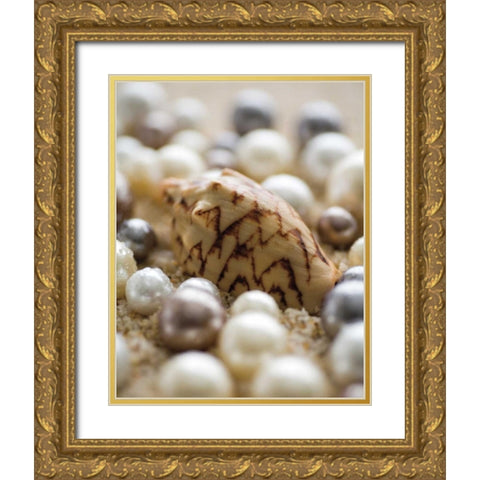 Sea Jewels IV Gold Ornate Wood Framed Art Print with Double Matting by Maihara/Watt, Jeff/Boyce