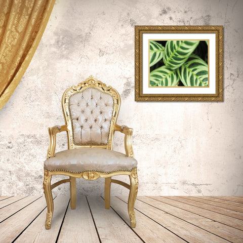 Springtime I Gold Ornate Wood Framed Art Print with Double Matting by Ryan, Cinzia