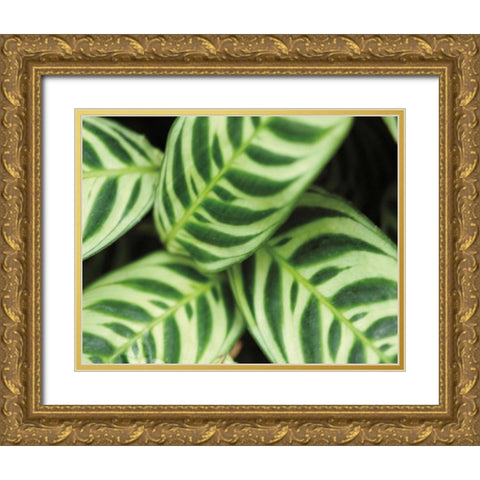 Springtime I Gold Ornate Wood Framed Art Print with Double Matting by Ryan, Cinzia