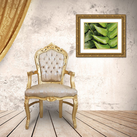 Springtime III Gold Ornate Wood Framed Art Print with Double Matting by Ryan, Cinzia