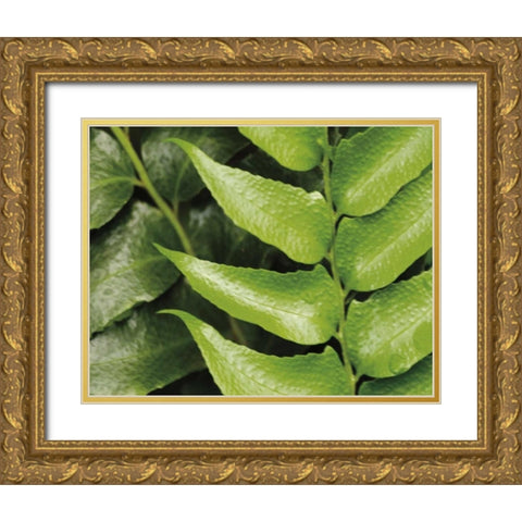 Springtime III Gold Ornate Wood Framed Art Print with Double Matting by Ryan, Cinzia
