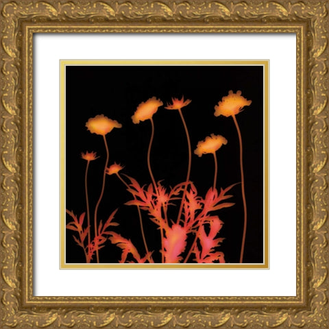 Delight Gold Ornate Wood Framed Art Print with Double Matting by Jantzer, Ethan